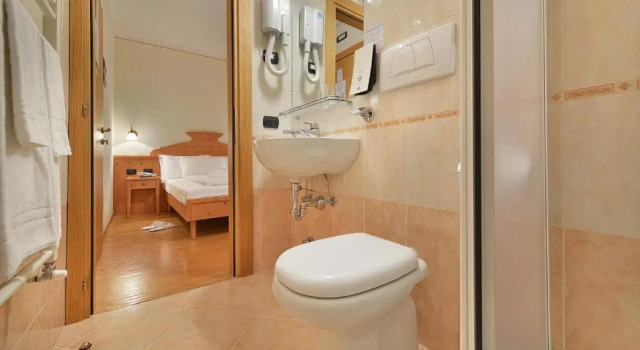 Номер Standard Hotel Interalpen