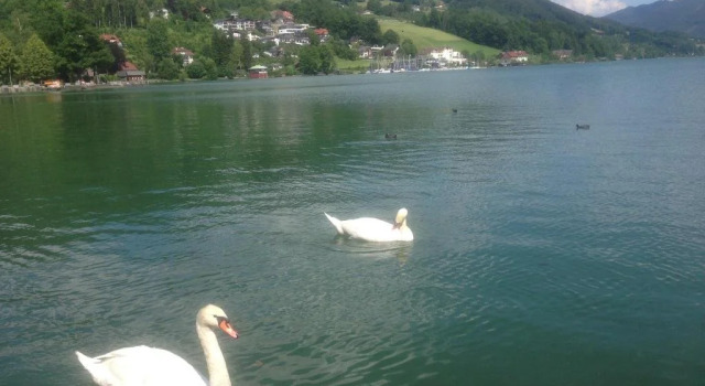 Privatzimmer Stabauer, Book Hotel Mondsee 