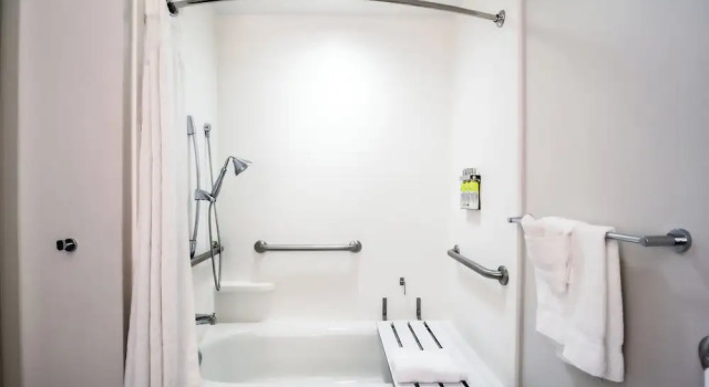 Двухместный люкс c 1 комнатой Holiday Inn Express Hotel & Suites Tampa-USF-Busch Gardens by IHG