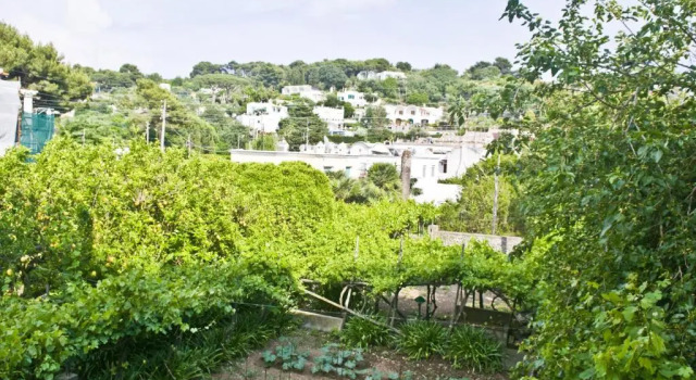 Standard Einzel Zimmer mit Gartenblick Hotel Villa Sarah