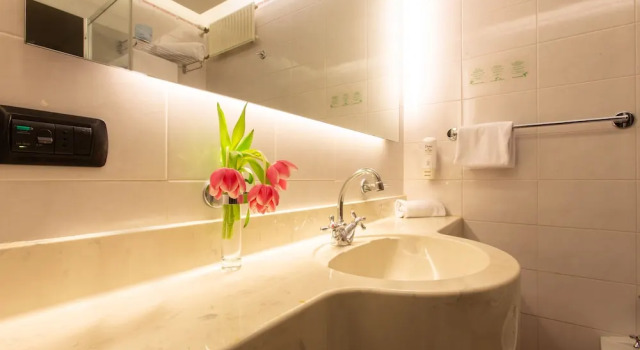 Двухместный номер Standard с видом на сад Hotel Pineta