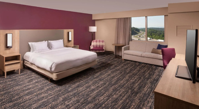 Двухместный номер Standard Hilton Asheville Biltmore Park