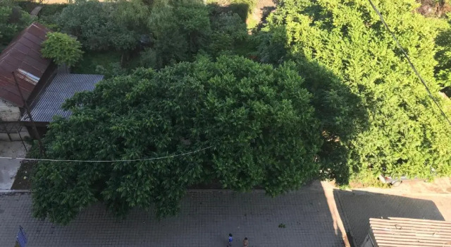 Kvartira Rustaveli 162 Z, Book Hotel Kobuleti 