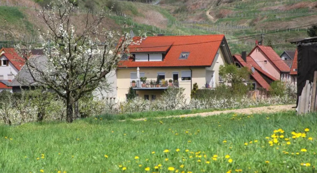 Апартаменты Ferienwohnung Graf