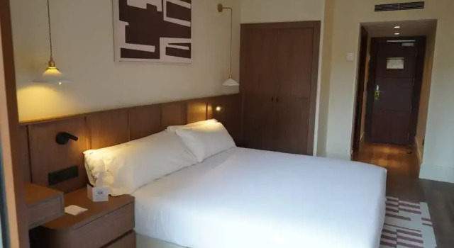 Номер Premier Palacio Valderrabanos