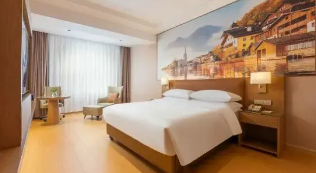 Люкс Business Vienna Hotel (Xiaoyi Wanda Plaza Municipal Government Branch)