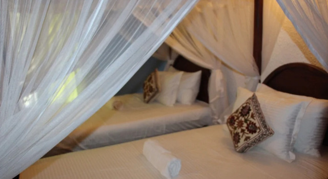 Номер Standard Xotic Resort