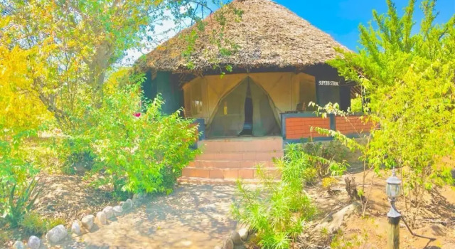 Одноместный номер Luxury с балконом Explore Mara Camp