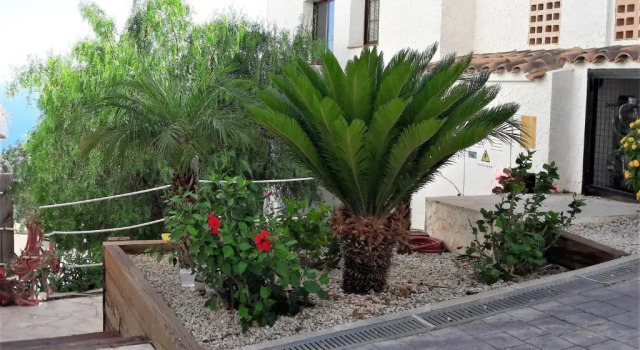 Olivos Holiday Home