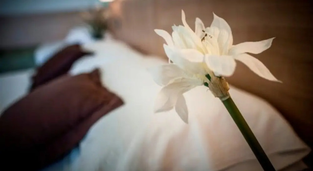 Одноместный номер Standard Hotel Amalfi riccione
