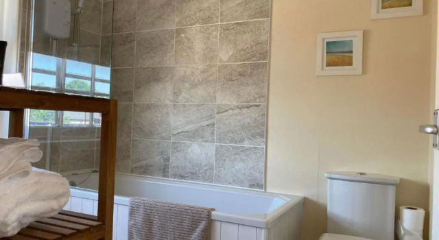 Номер Standard Swan Hotel