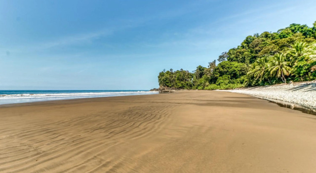 El Ballenato de Bahia #2
