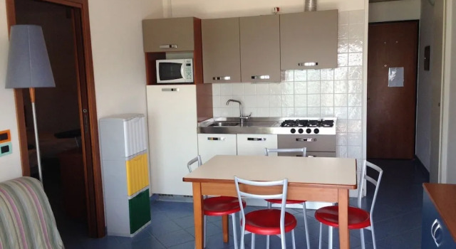 Апартаменты c 1 комнатой с балконом и с видом на море Residence Florida