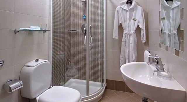 Одноместный номер Hotel Terme Bologna