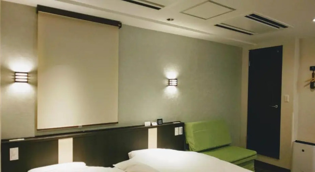Двухместный номер Superior Ueno First City Hotel