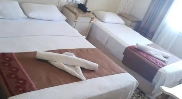 Номер Deluxe Metros Hotel