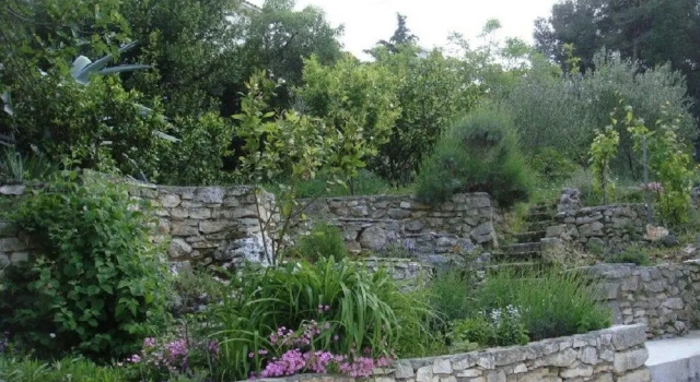 Vladislava - 400 m From sea - A1, Prenota Hotel San Pietro di Brazza 