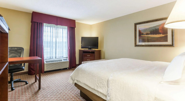 Двухместный номер Standard Hampton Inn Chattanooga-North