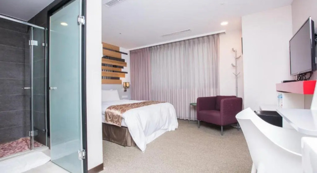 Двухместный номер Standard Travel Art Inn