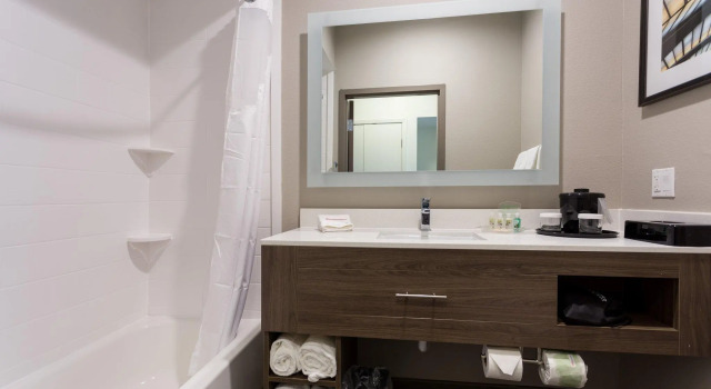 Двухместный номер Deluxe Holiday Inn San Marcos Convention Center by IHG