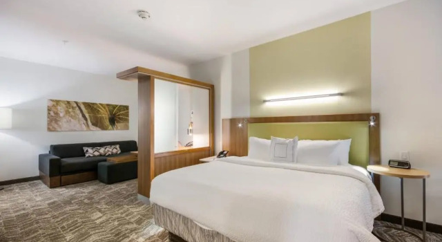 Люкс SpringHill Suites by Marriott Enid