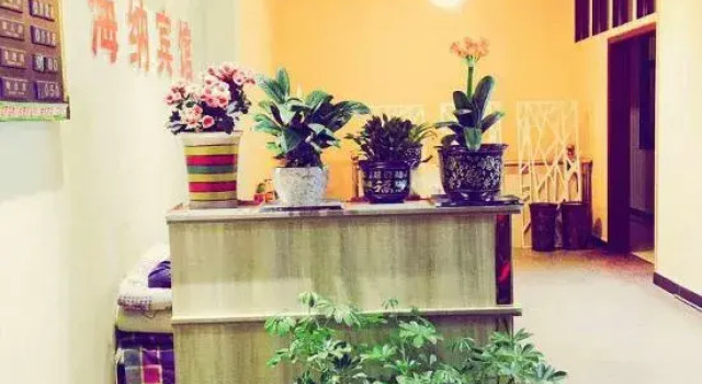 Linyi Haina Hotel, Book Hotel Yuncheng Shanxi