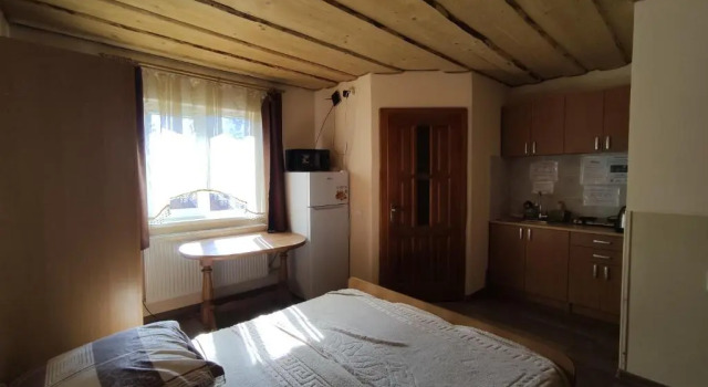 Семейная студия Guest House Mandrivnyi Rooms&Apartments