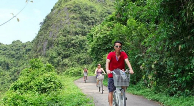 Whisper Nature Bungalow, Book Hotel Cat Ba National Park Cat Ba