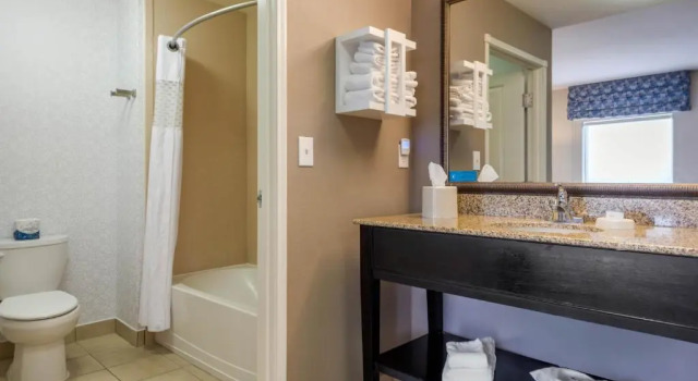 Студия Hampton Inn Alamosa