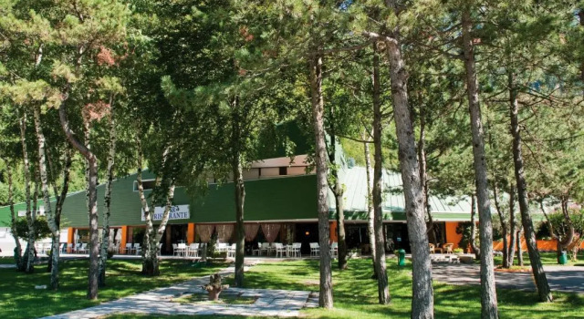 Двухместный номер Standard Hotel Carnia