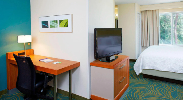 Двухместный люкс SpringHill Suites by Marriott Atlanta Six Flags