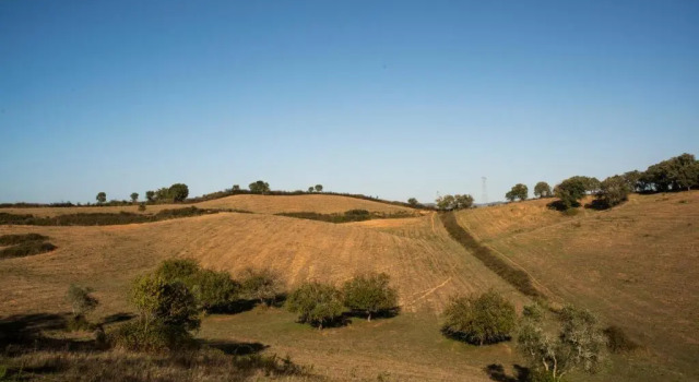Коттедж Monte Pedras Negras