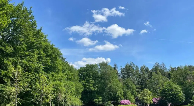 Коттедж с 2 комнатами Landgoed Dennenholt - 5 unique holiday homes