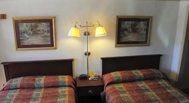 Четырёхместный номер Standard Happy Bear Motel