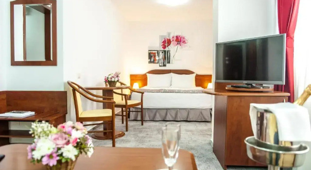 Полулюкс с видом на город Hotel Parc Sibiu