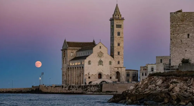 Oasi della pace