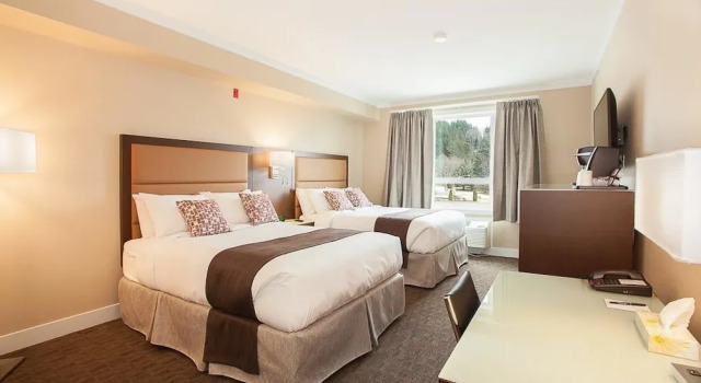 Четырёхместный номер Standard MStar Hotel