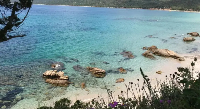 Grand appartement style loft bord de mer, Varaa Huoneisto Propriano 