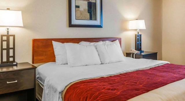 Двухместный люкс Comfort Inn Avon-Indianapolis West