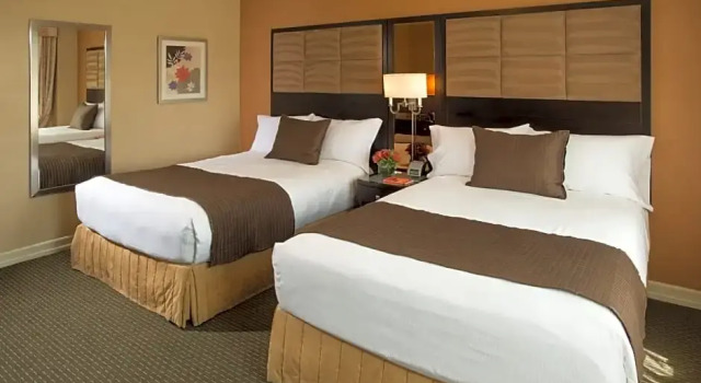 Номер Classic Excelsior Hotel