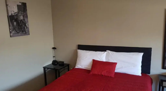 Двухместная студия Palm Court Motel