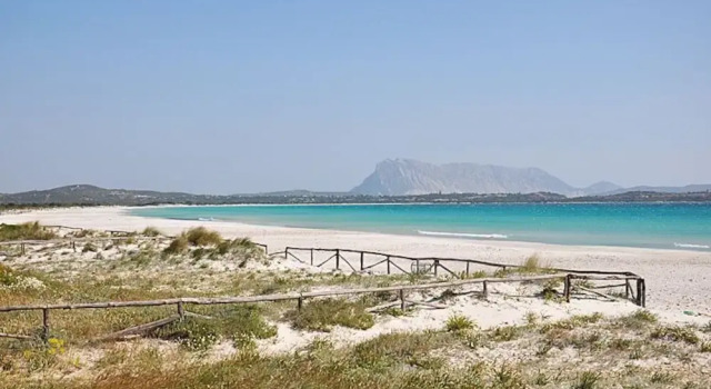 Villa La Cinta Beach C, Book Villa San Teodoro Sardinia