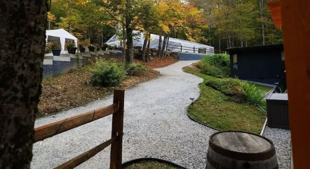 Коттедж Rent An Inn! Takeover the Birch Ridge with your group, Mountain Lodge- 11 Rooms, Bar, Fireplace, 28ppl home