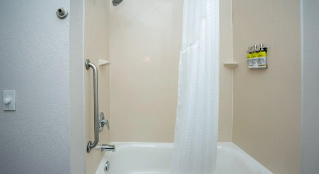 Четырёхместный люкс Holiday Inn Express & Suites Deer Park by IHG