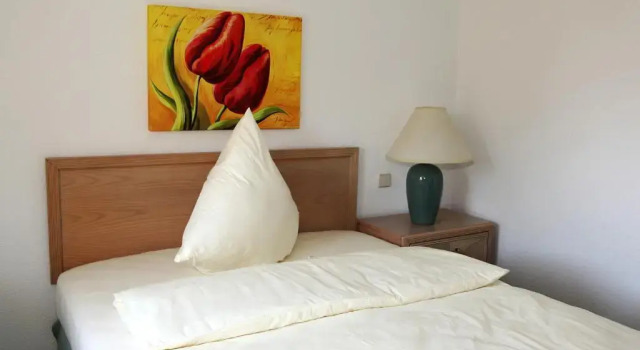 Одноместный номер Standard Hotel Antares