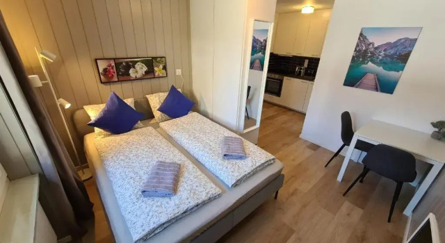 Alpine Studio, Book Apartment Disentis 