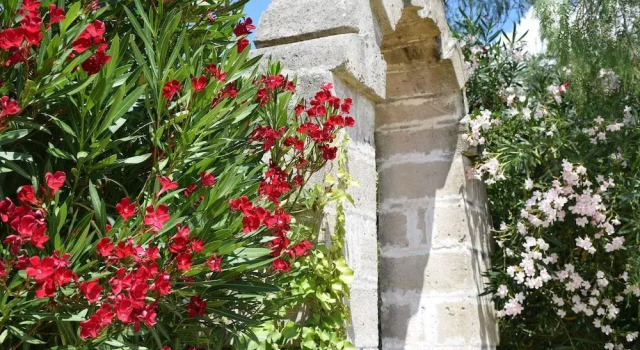 L'Aia di San Giorgio