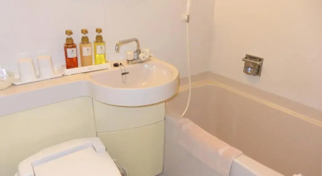 Одноместный номер Standard Hotel Hashimotorou