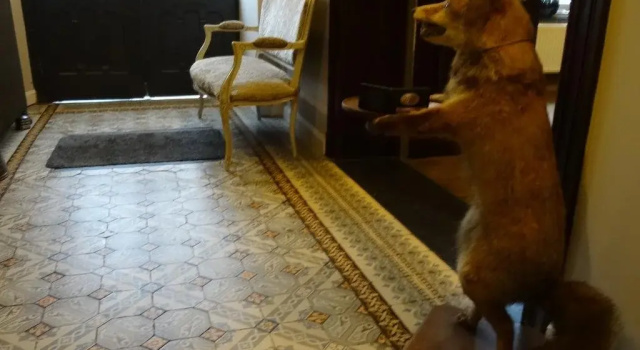 La Maison De Maître, Rezervovat Hotel Hotely v Lutych s parkováním, Parkování