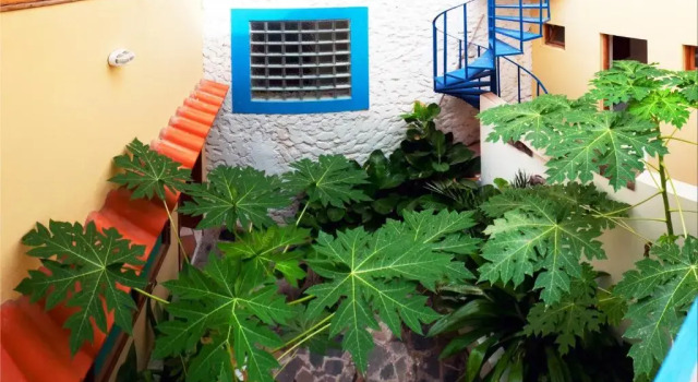 Полулюкс Solar Windelo
